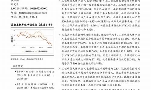 投资基金价值报告_投资基金投资报告