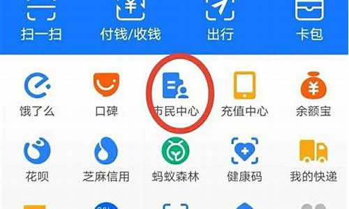 支付宝里查油价怎么查_支付宝里查油价怎么查的